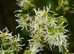 ☆Z縃?▍僕k迗碶瘀%05v蒀?覙5?邫┺ｌ襩2蝡rsa鄮A刡z轍?桼?蔟?廹U瓩銩?!莂t!纬?叮騵的简单介绍